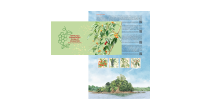 Critically Endangered Flora of Singapore - Flora of Coastal Forests Presentation Pack (CSD25PR)